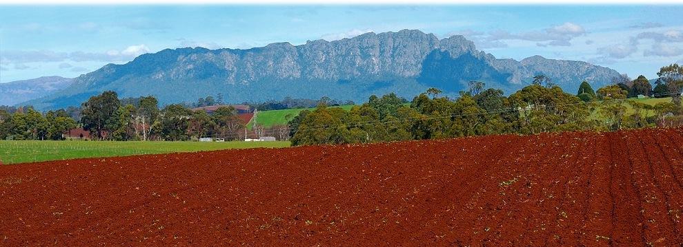 Mount Roland Farmland